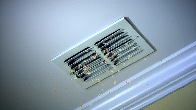 Best Local Air Duct Cleaning Services  in Henning, TN