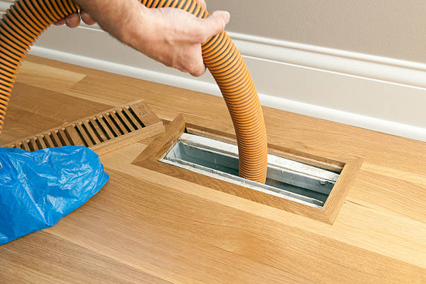 Best Air Duct Mold Removal  in Henning, TN