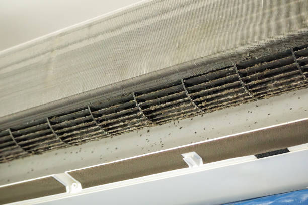 Best Air Duct Cleaning Near Me  in Henning, TN